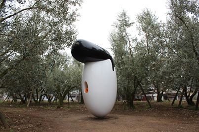 olive.jpg